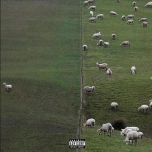 Counting Sheep, Vol. 1 (Explicit)