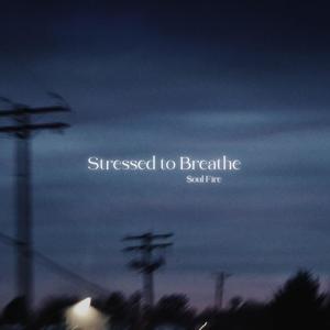 Stressed to Breathe