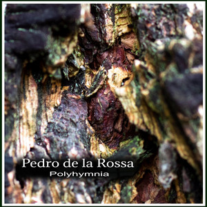 Polyhymnia (Original Mix)