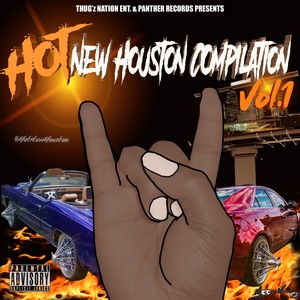 Hot New Houston Compilation, Vol. 1 (Explicit)