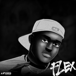 Flex 2