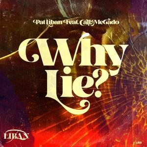 Why Lie(feat. CallMeGado) (Explicit)