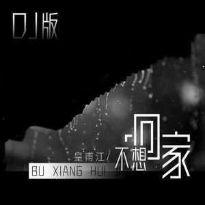 不想回家 (DJ版伴奏)