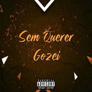 Sem Querer Gozei (feat. Dj Gordim) [Eletrofunk]