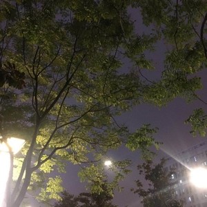 I Know You So Well (Jocelyn Flores Remix)