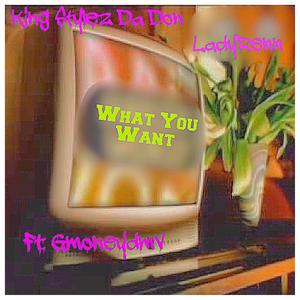 What You Want (feat. LadyRenn & Gmoneydmv) [Explicit]