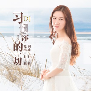 习惯了你的一切 (DJ晓朋)