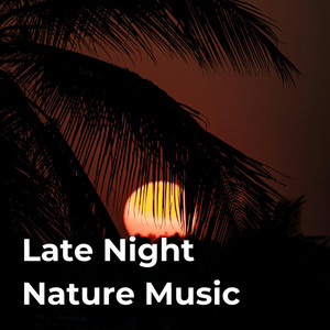Late Night Nature Music