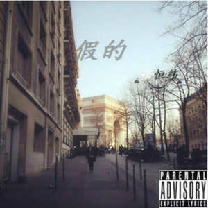 假的