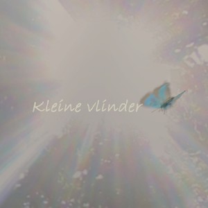 Kleine vlinder