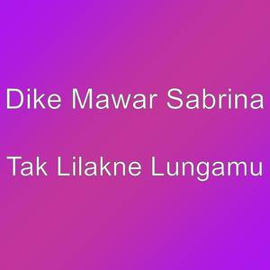 Tak Lilakne Lungamu