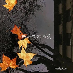 明知道不能爱 (伴奏)