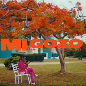 Mi Gozo (feat. Holy Blezz)