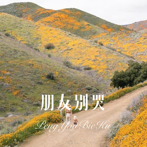 此生无可恋，唯曲悦丹田 (Remix)封面