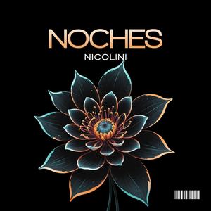 NOCHES