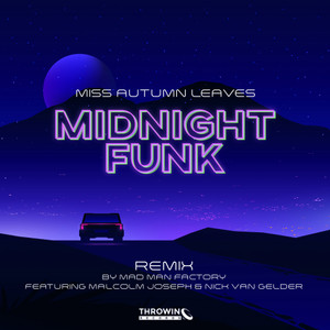 Midnight Funk (feat. Malcolm Joseph & Nick van Gelder) (Mad Man Factory Remix)