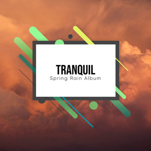 #19 Tranquil Spring Rain Album