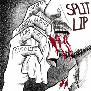 SPLIT LIP