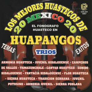 Los Mejores Huastecos De Mexico, Vol. 6