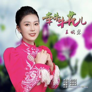 牵牛牛花儿 (伴奏)