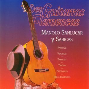 Dos guitarras flamencas