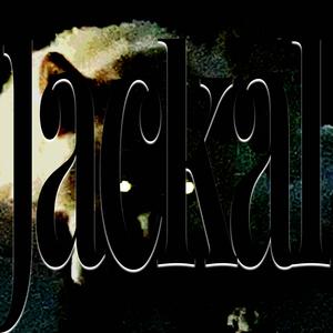 Jackal (feat. Eurogunparty) (Explicit)