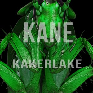 Kakerlake (Explicit)