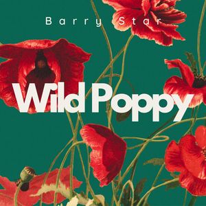 Wild Poppy (Jazz Echoes Beneath Crimson Petals)