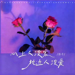 心上人没家枕边人没爱