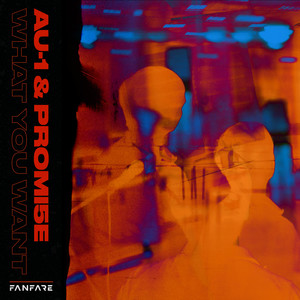 What You Want (Extended Mix)