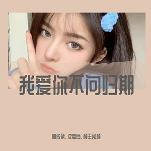 我把我最爱的人弄丢了 (DJ诗琦版)