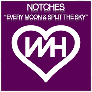 Every Moon