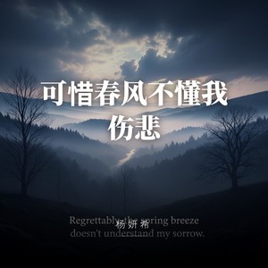 可惜春风不懂我伤悲-刘妍希