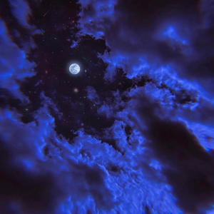 No Reasons (Remix|Explicit)