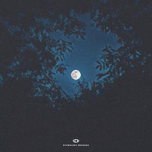 KOHEI YOSHII - Dear Moonlight