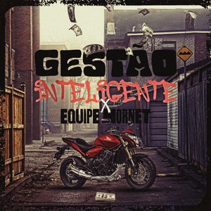 GESTÃO INTELIGENTE × EQUIPE HORNET (Explicit)