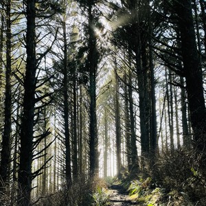 Goodbye Corpse Bride (Explicit)