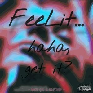 FeeLit.. haha, get it? (feat. WillTripp) (Explicit)