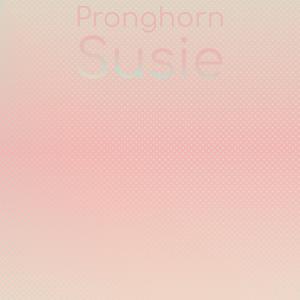 Pronghorn Susie