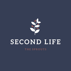 Second Life