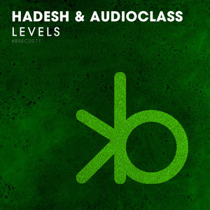 Levels (Radio-Edit)