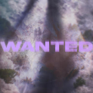 Wanted (feat. synush)