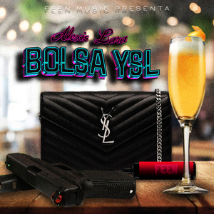 Bolsa YSL