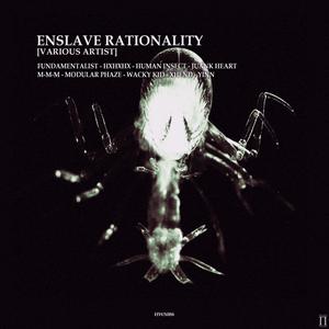 Enslave Rationality (V/A)