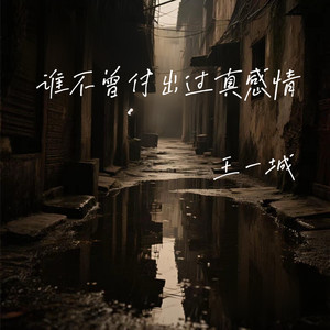 谁不曾付出过真感情