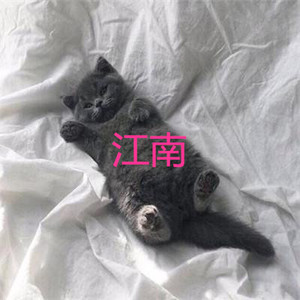 你走