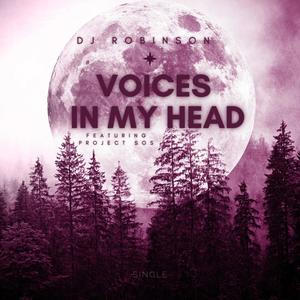 Voices in my head (feat. Project SOS)