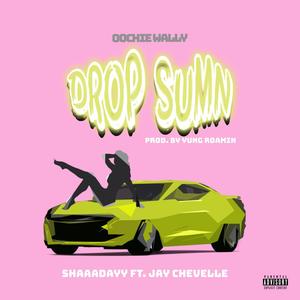 Shaaadayy - Oochie Wally(feat. Jay Chevelle) (Explicit)