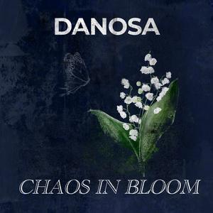Chaos In Bloom
