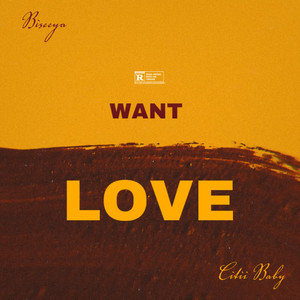 Want Love (Explicit)